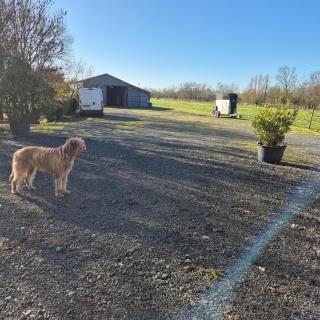 Chambre d'hôtes Les Loges - 4