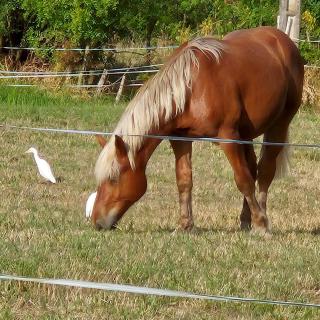 Chambre d'hôtes Les Loges - 3