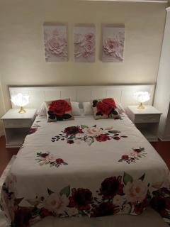 Agapanthus - Offida - 8