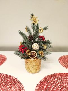 Apartament Górska Przystań - Willa Marysin - niedaleko Termy Bukovina oraz stoki narciarskie - 1