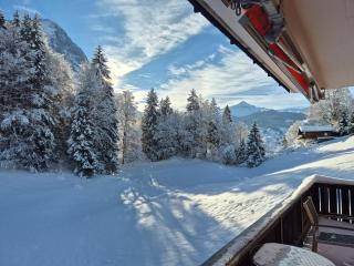 ABO - Boutique Apartment - Chalet Grindelwaldgletscher - 1