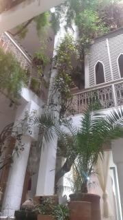 Riad Namssaouia - 1