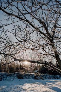 Bukolik - Bukowiec - 4