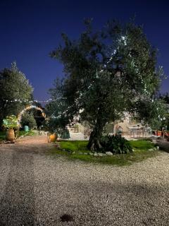 B&B Villa Mediterranea with parking space - 7