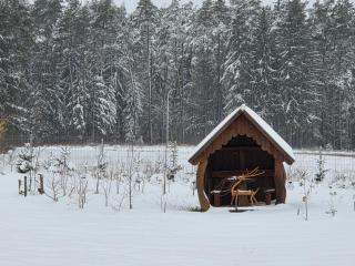 Agrosturystyka Leśna 21 - 8