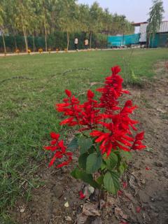 Amangarh Corbett Farmstay - 5