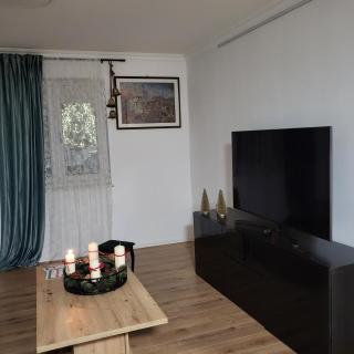 Grüne Sonne Refugium - 8