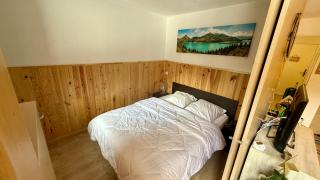 La foux d allos Superbe appartement 6 couchages ,piscine - Allos - 6