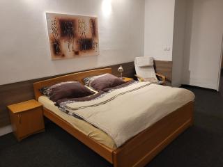 Apartment in historic centre of Ostrava - 8