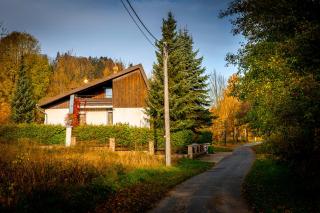 Hubiza - Bukówka - 6