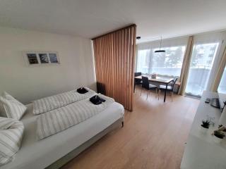 Central, newly renovated 2-room apartment - 2