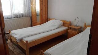 Tsvetkovi Guest House - Dobrinishte - 3