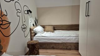 Black Hill Pod Zieleńcem Apartament BOHO Nr6 - 8