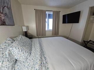 Newly Remodeled 3 Bedroom - Bright & Centrally Located Stay - 3