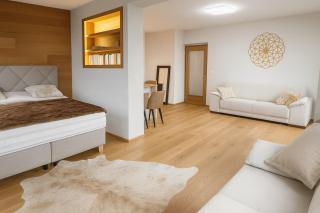 Bright apartment with balcony and view of Medvědín - 9