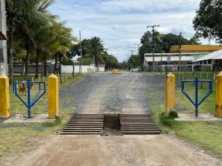 Fruit Shadow House - 5