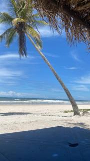 Fruit Shadow House - 9