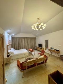 Feliz by slowlane stays - 3