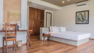 Soul Wellness and Ayurveda Resort-All Meals and Treatments Included - 7