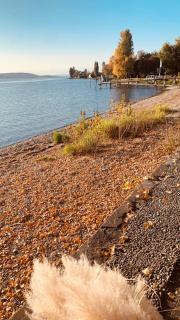 Seaapartment in Konstanz on Constance Lake - 1