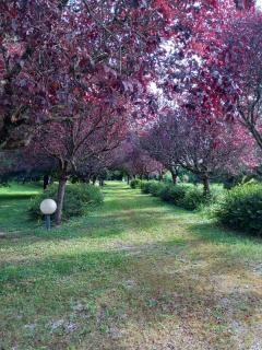 Le rêve au fil de l'eau - 9