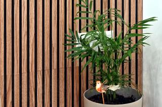 La luz de la victoria - 4