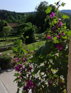 Maison D'hôtes Les Brimbelles - 8