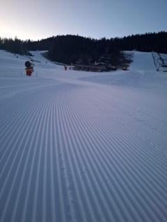 La Gentiane bleue, vue lac Saint Point - 9