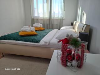 Apartment CityAna - private garage, 0-24 Self Check In - 5