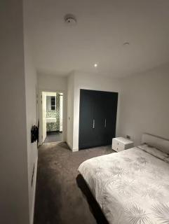 Luxury 2 bed flat canary whalf - 0