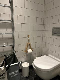 Luxury 2 bed flat canary whalf - 5