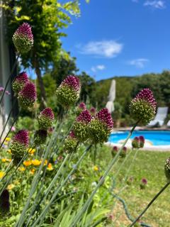 Luxury Living Villa Eötvös Haz - 6