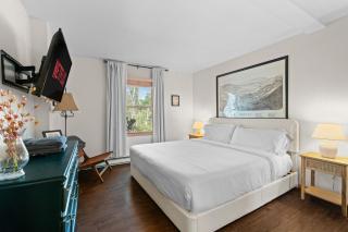 Ski in Ski Out Cabin Hunter Mtn Seasonal Pool Access w Panoramic Views Hike Swim Fish Recharge - 8