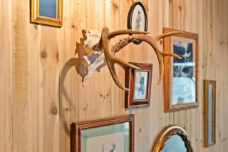 Ski in Ski Out Cabin Hunter Mtn Seasonal Pool Access w Panoramic Views Hike Swim Fish Recharge - 2