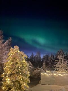 Arctic Circle Home for Winter Holiday - 5