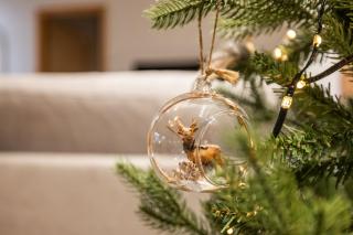 Kivikatu Apartment - 1