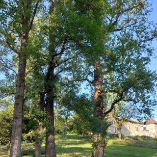 Château de La Renaudie - 8