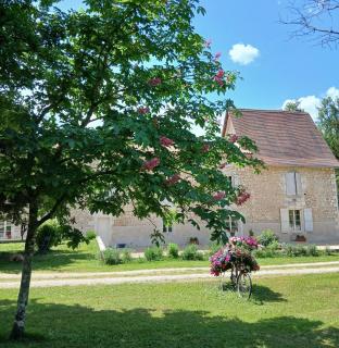 Château de La Renaudie - 5