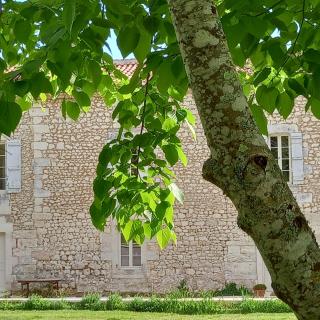 Château de La Renaudie - 3