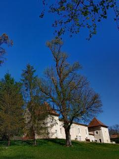 Château de La Renaudie - 9