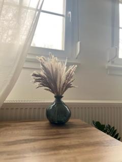 Elegantes Zimmer in historischer Villa in Siegen-Eiserfeld - 4