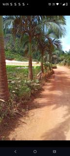 Cantinho na roça santa Maria - 4