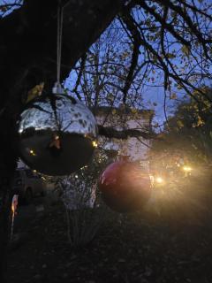 Relais de la poste rez-de-chaussée - Monclar-de-Quercy - 7