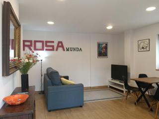 Apartamentos ROSAMUNDA SANTANDER - 5