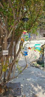 Casa Amarilla Tecámac - 7