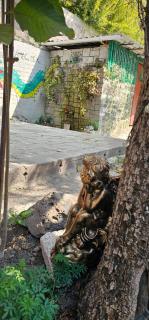 Casa Amarilla Tecámac - 9