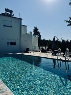 Villa & Apartament Armonia 3 Gaja Flora Gavalochori - Vamos KRETA - 9