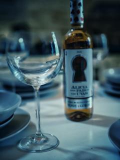 Nowy Gaj - Wilczyn - 1