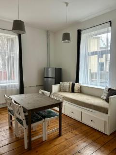 Spacious one bedroom Ausekļa apartment - 8