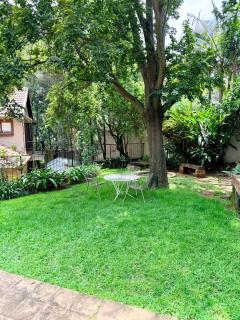 Cozy Urban Oasis in Hatfield - Pretoria - 4
